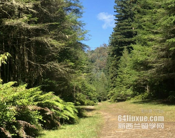 mW(xu)оՈl