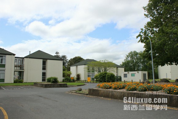 新西蘭奧克蘭大學申請條件