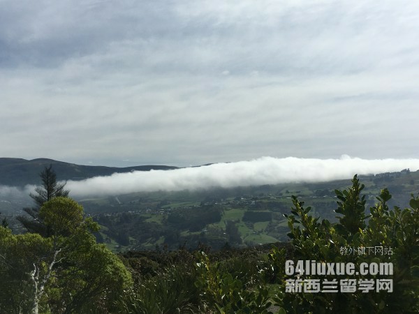 新西蘭留學移民政策