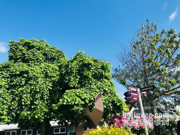 新西蘭留學簽證材料