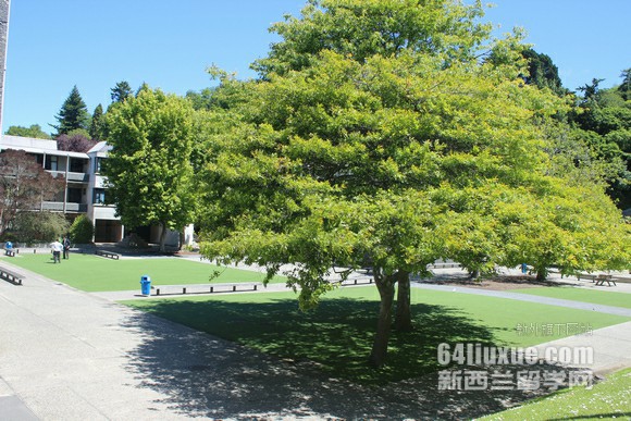 mW(xu)оՈ
