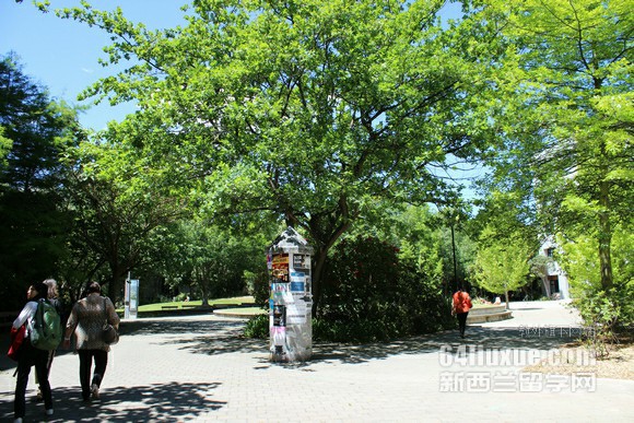 2016mW(xu)W(xu)ʲôI(y)