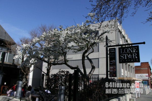 ɭŮķЌW Epsom Girls Grammer School