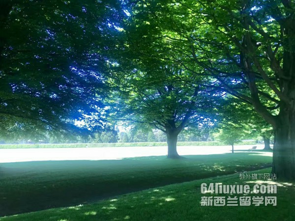 mSW(xu)^O(sh)Ӌ(j)оI(y)