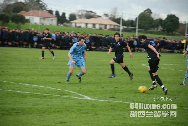 macgA_Wrg