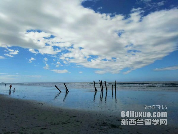 mx11꼉ךq