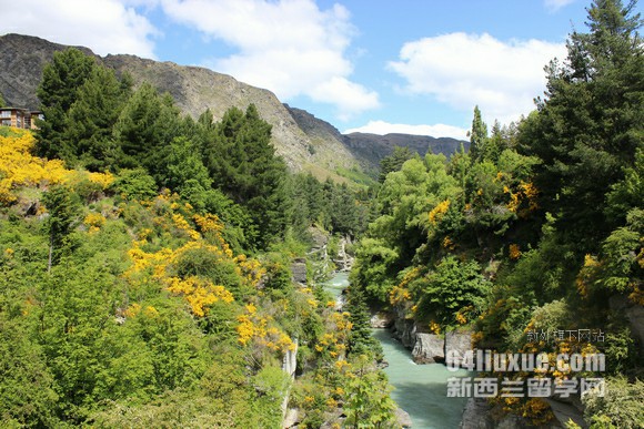 mW(xu)оMBA