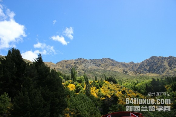 mW(xu)NI(y)