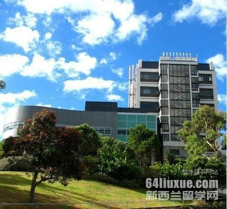 `DSW(xu)mba
