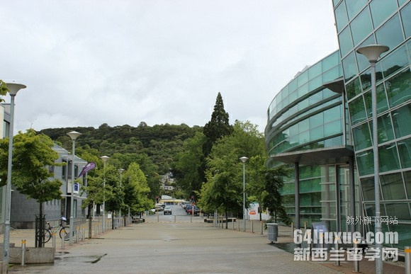 mWWo팣I