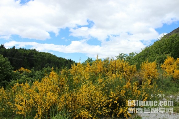 mW(xu)СW(xu)g