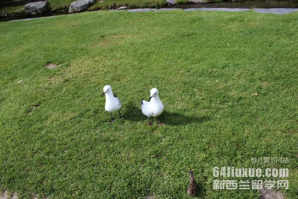 mЌWWM