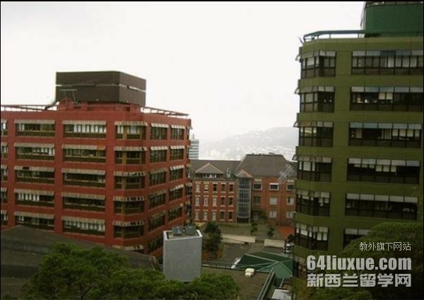 mSA