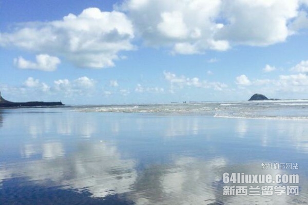 mW(xu)A(y)Ո