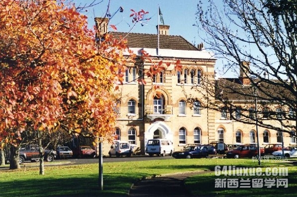 munitecľgd