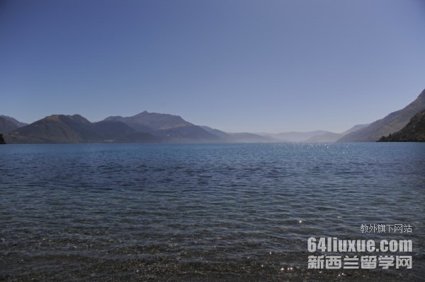 mW(xu)Ƶ팣(zhun)I(y)