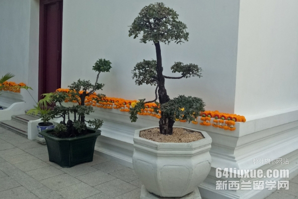 ̩(gu)}(cng)W(xu)o(h)팣(zhun)I(y)
