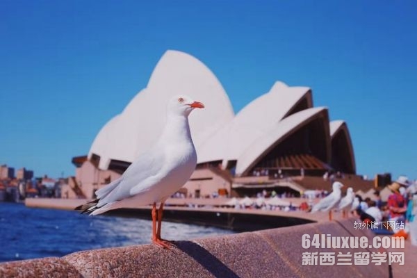 ʿmWһWM